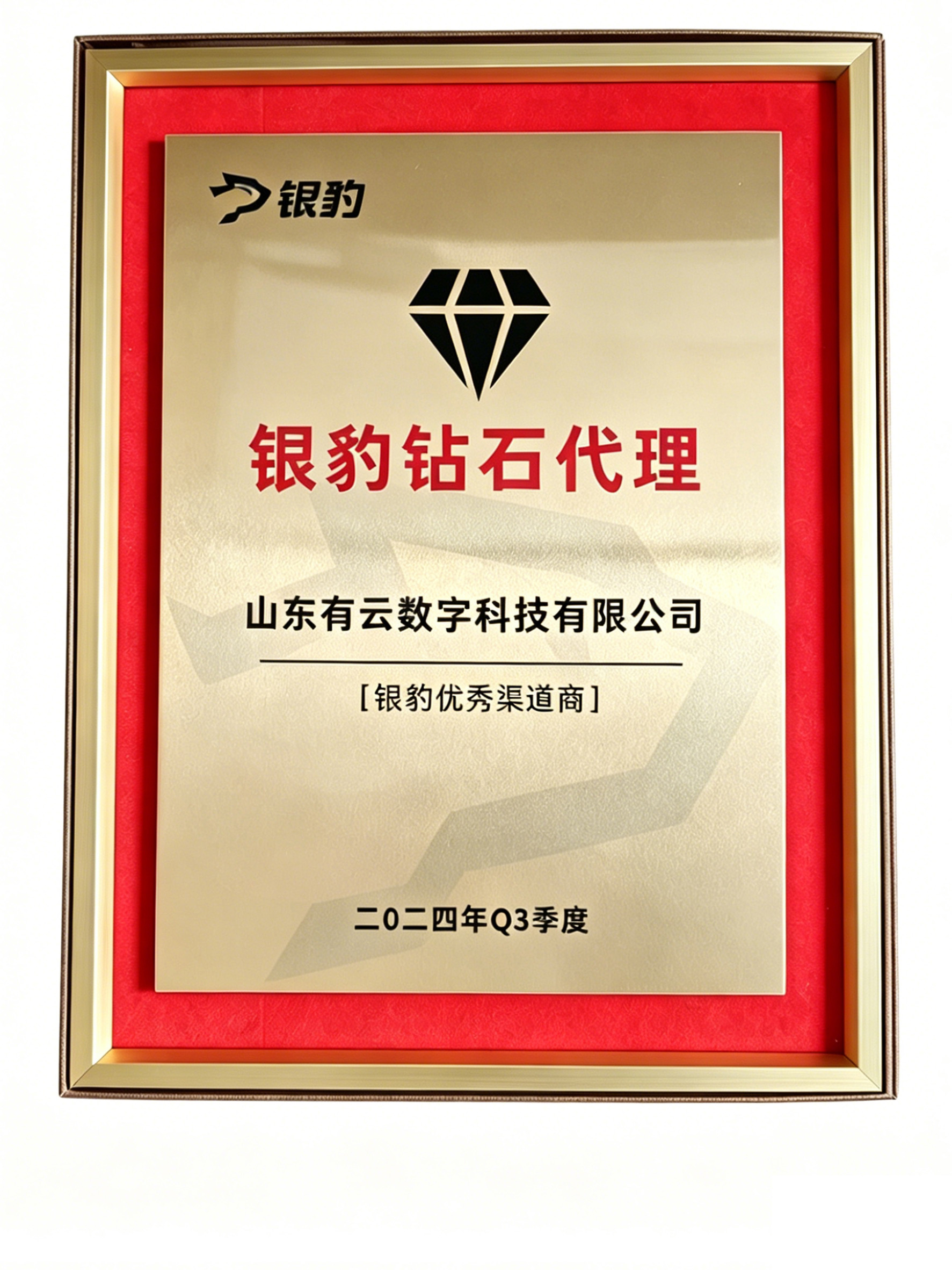 银豹钻石代理授权牌（2024年Q3季度）-山东有云数科