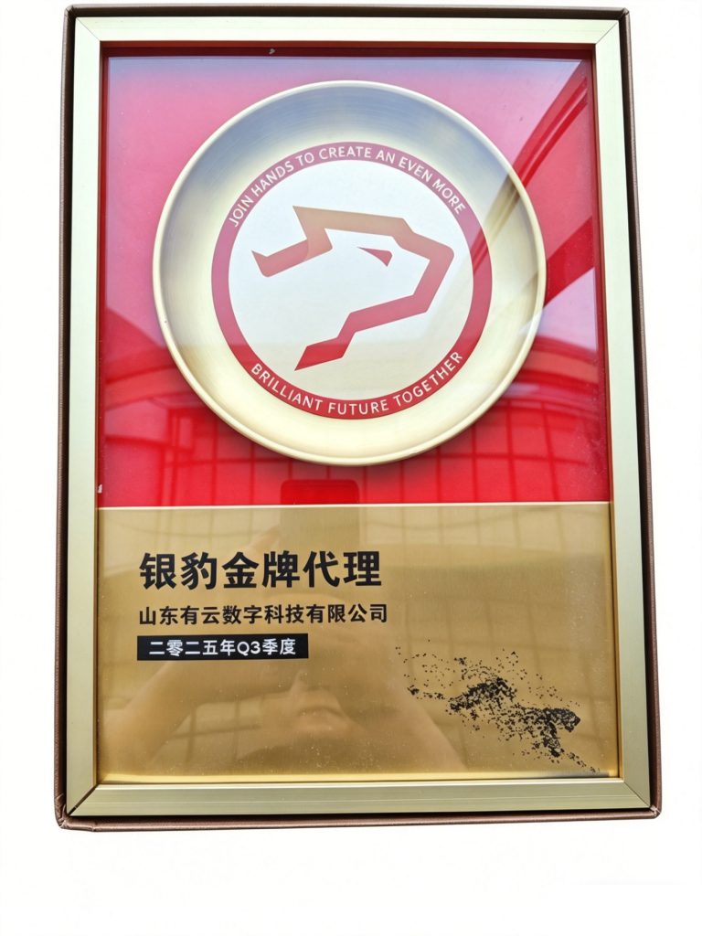 银豹金牌代理授权牌（2025年Q3季度）-山东有云数科