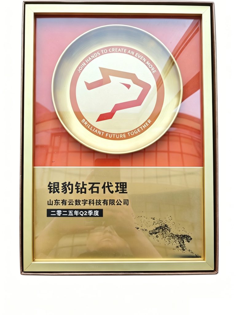 银豹钻石代理授权牌（2025年Q2季度）-山东有云数科