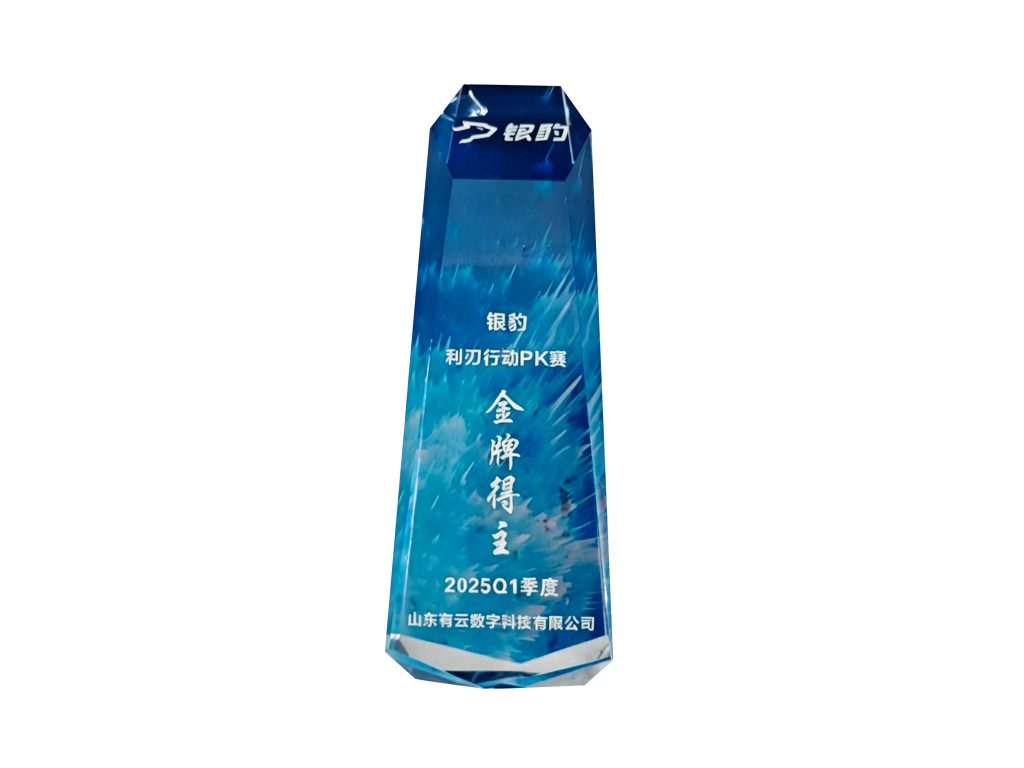 银豹全国利刃行动PK赛金牌得主奖杯-山东有云数科
